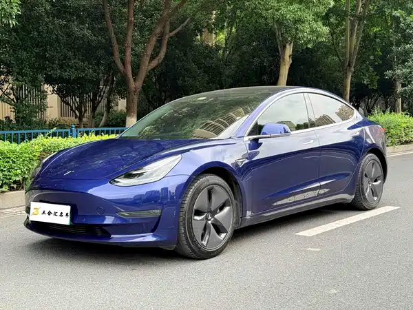 Tesla Model 3 2019