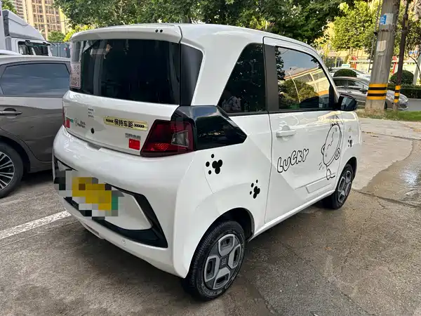 Dongfeng Scenery MINIEV 2022