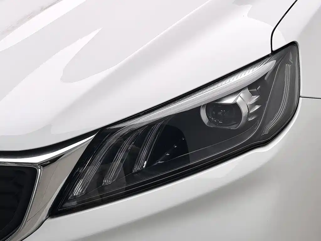 Geely Binrui 2021