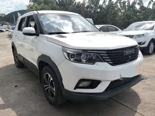 Bisu T3 2018