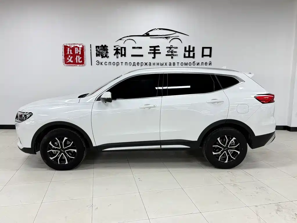 Haval H6 2021 — фото 8