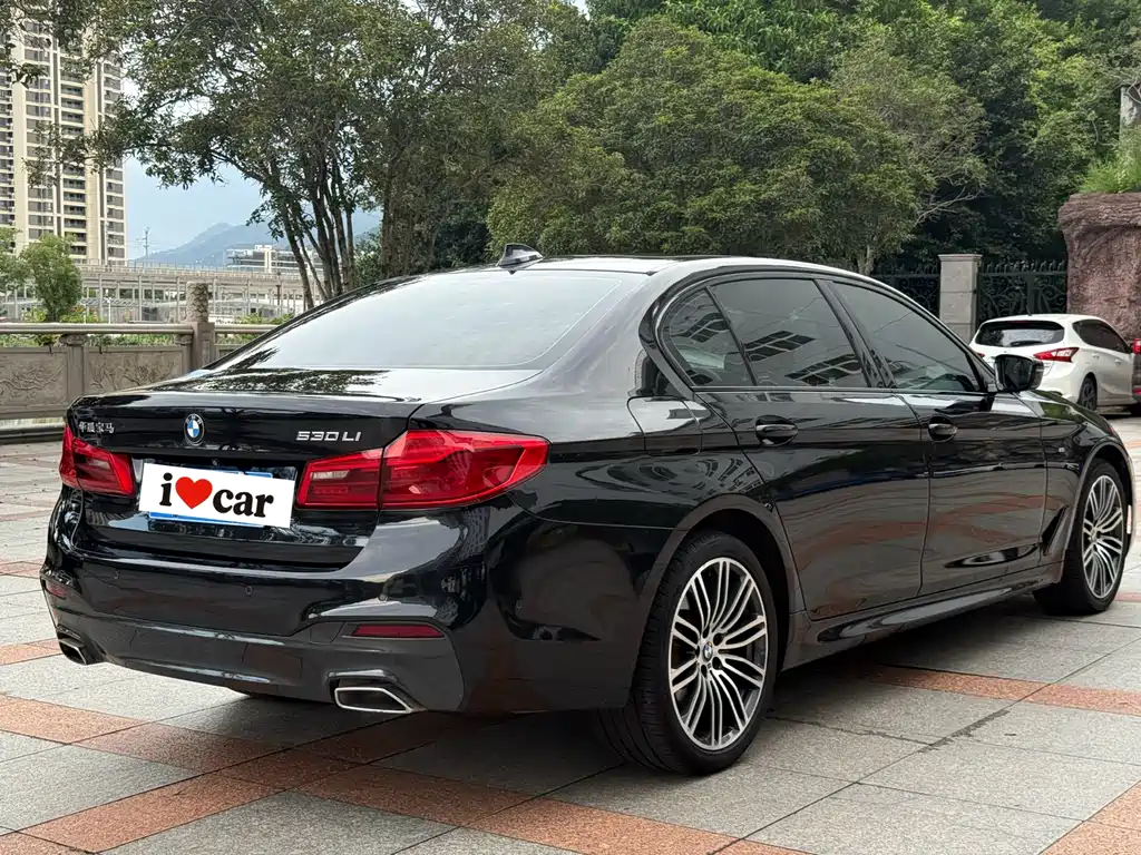 BMW 5 Series 2019