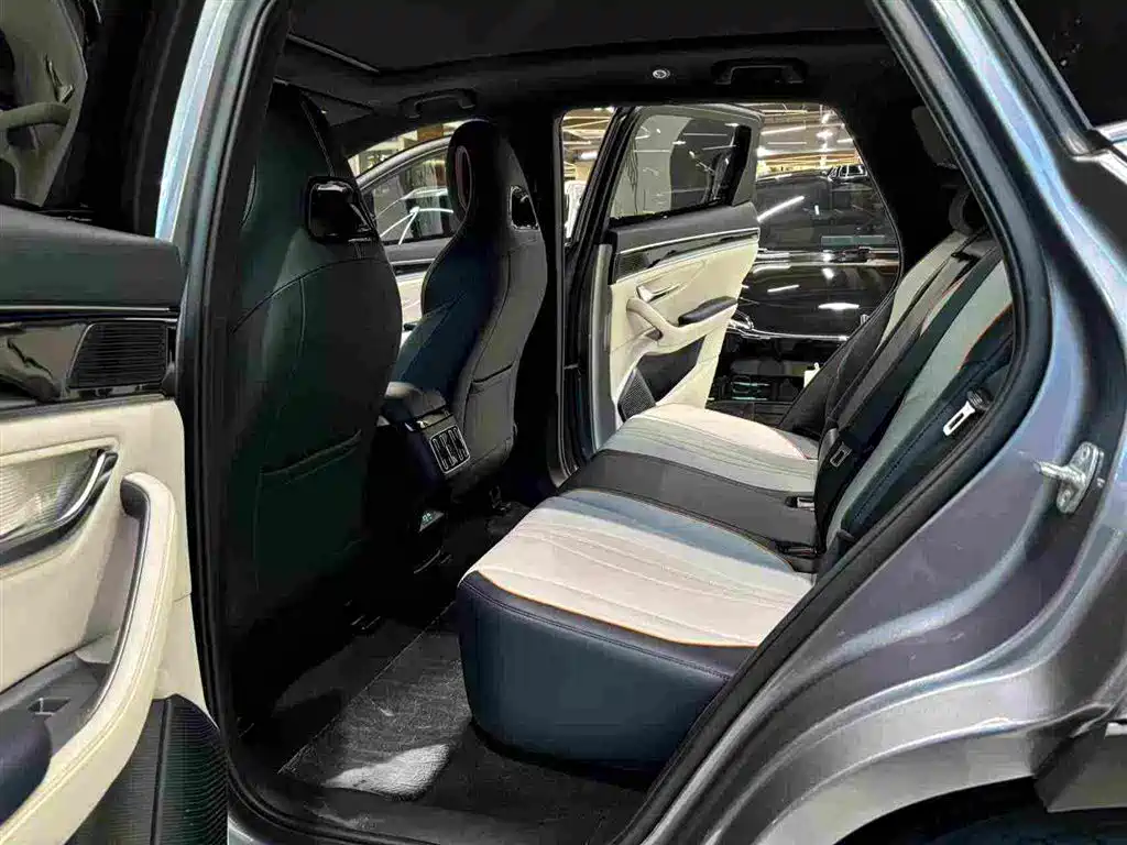 BYD Song PLUS New Energy 2024 — фото 6