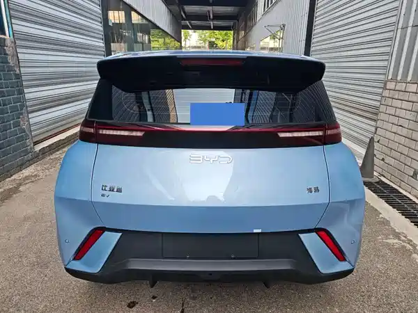 BYD Seagull 2024