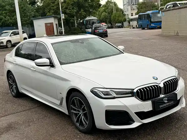 BMW 5 Series New Energy 2021