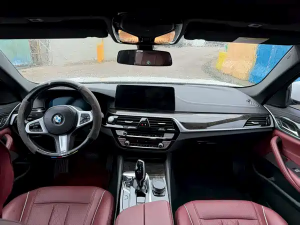 BMW 5 Series New Energy 2021