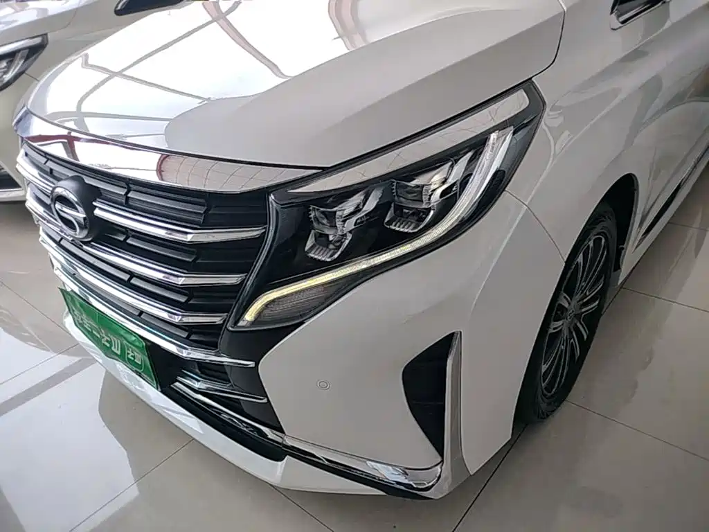 GAC Trumpchi M8 2020 — фото 24