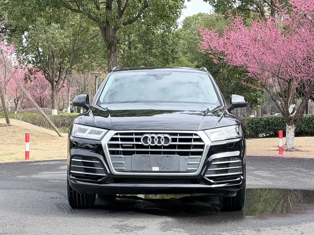 Audi Q5L 2019