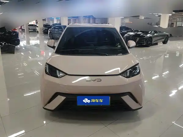 BYD Seagull 2024