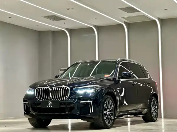 BMW X5 2022