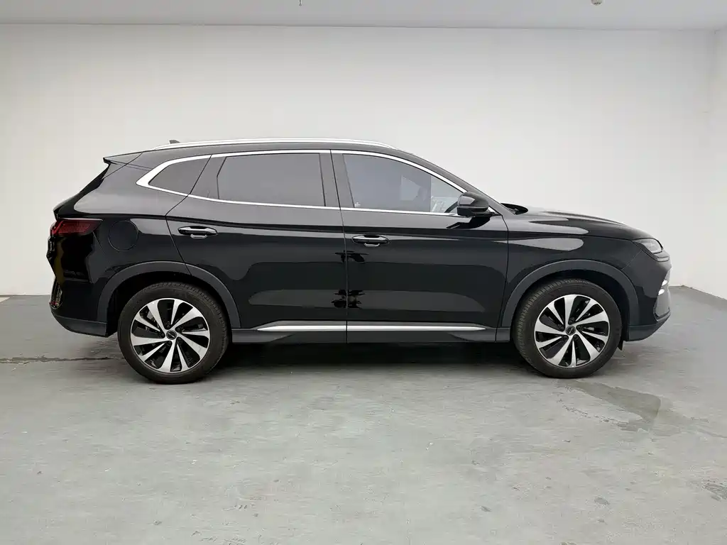 BYD PLUS New Energy 2024 — фото 14