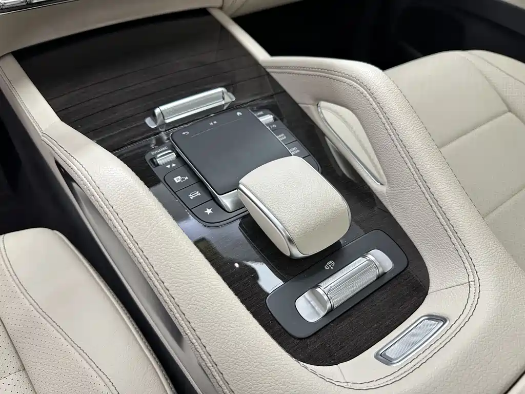 Mercedes-Benz GLS 2020 — фото 20