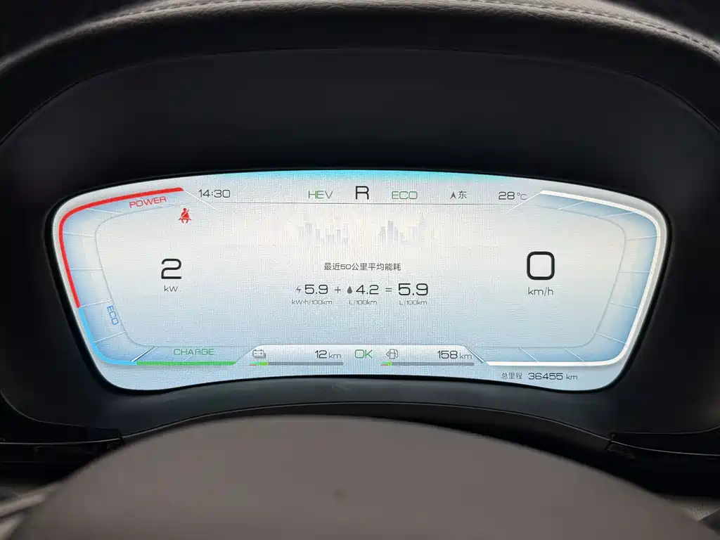BYD PLUS New Energy 2024 — фото 15