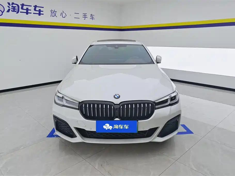 BMW 5 Series New Energy 2022
