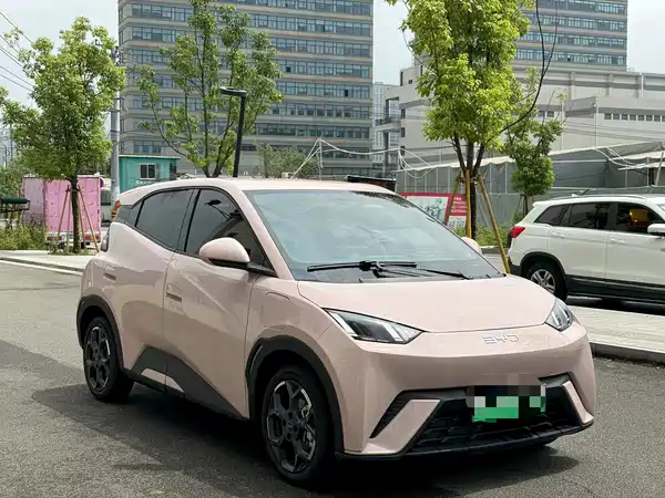 BYD Seagull 2024