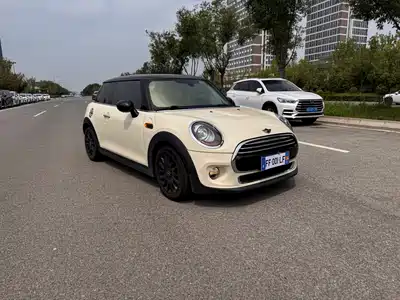 MINI MINI 2015