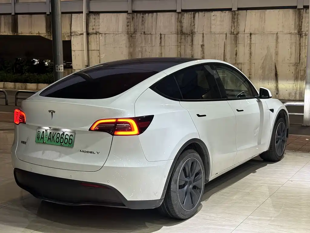 Tesla Model Y 2023 — фото 2