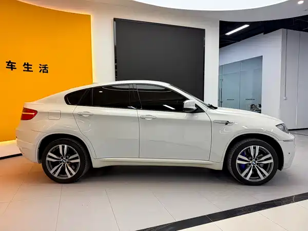 BMW X6 M 2010