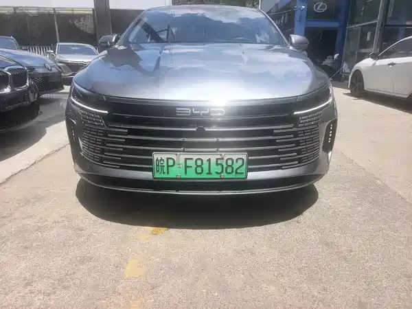 BYD Destroyer 05 2024