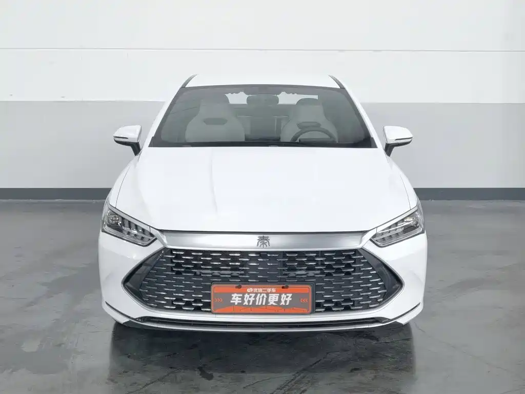 BYD Qin PLUS 2023 — фото 3