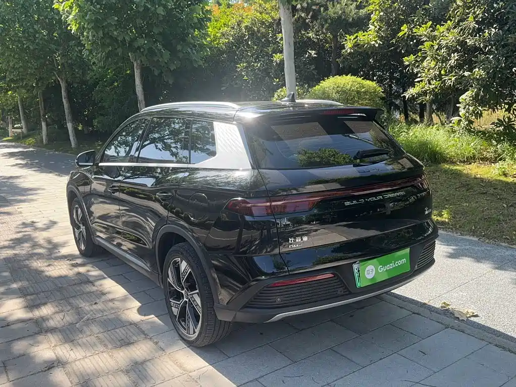 BYD Song Pro New Energy 2024 — фото 22