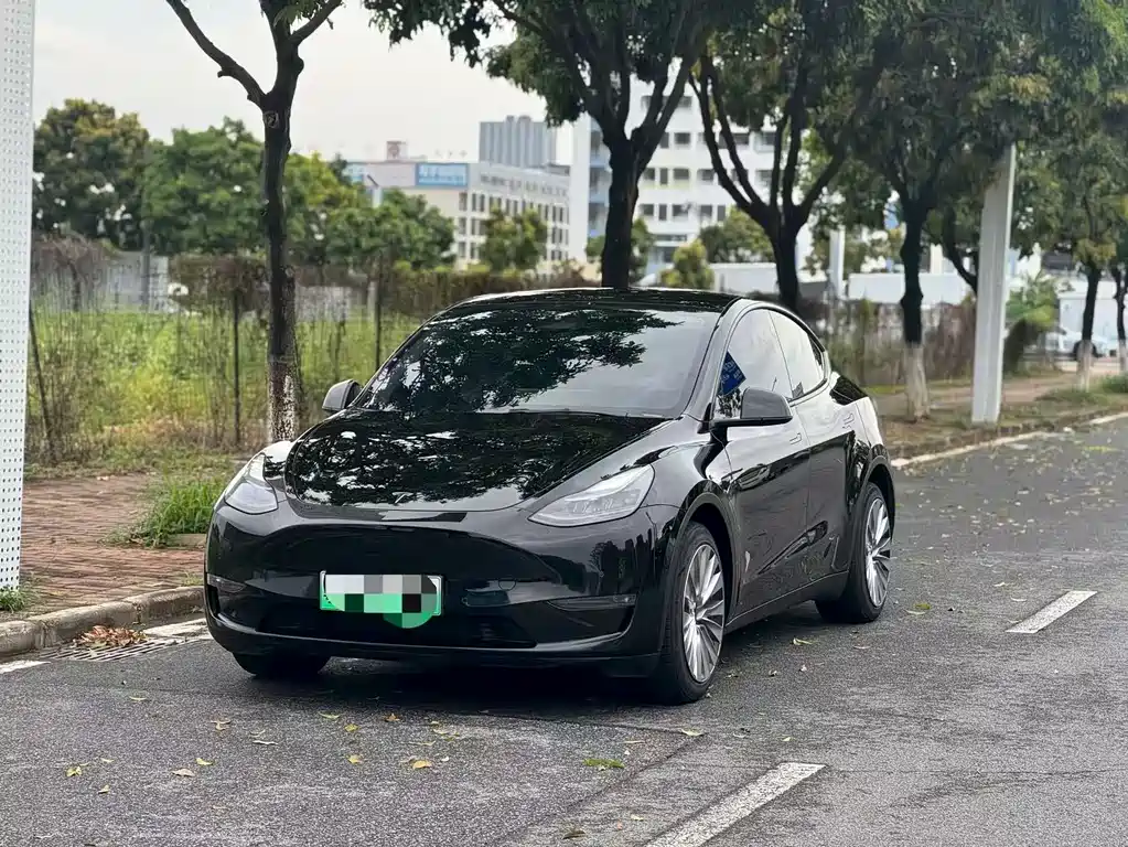 Tesla Model Y 2021 — фото 1