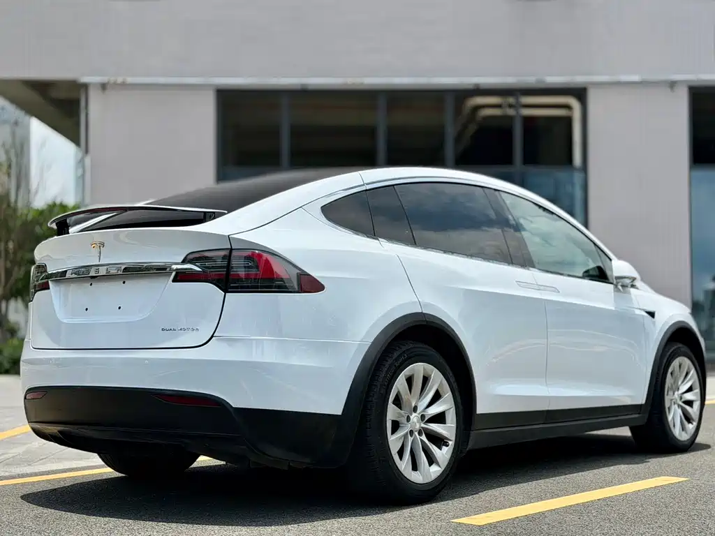 Tesla Model X 2019 — фото 15