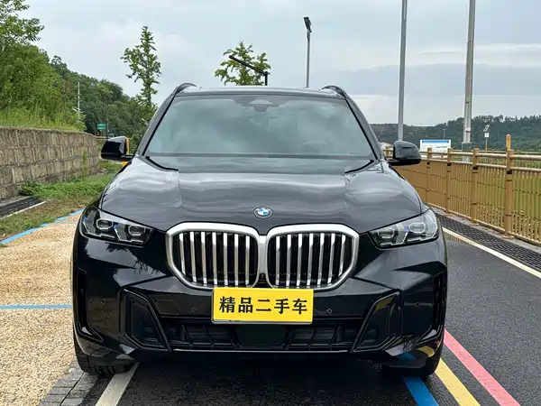 BMW X5 2024