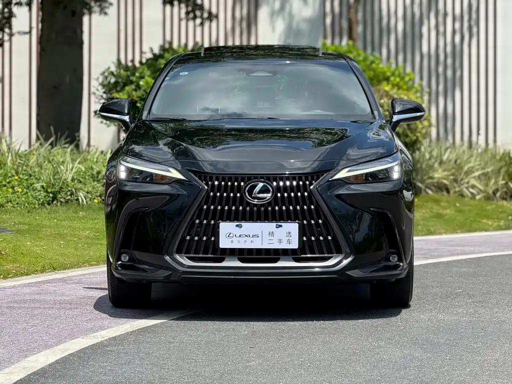 Lexus NX New Energy 2021 — фото 2