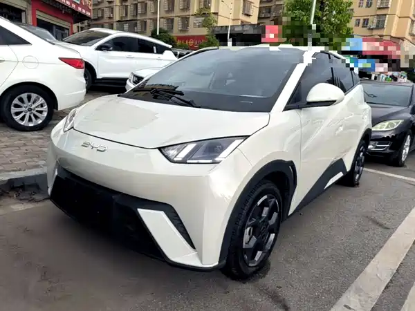 BYD Seagull 2024