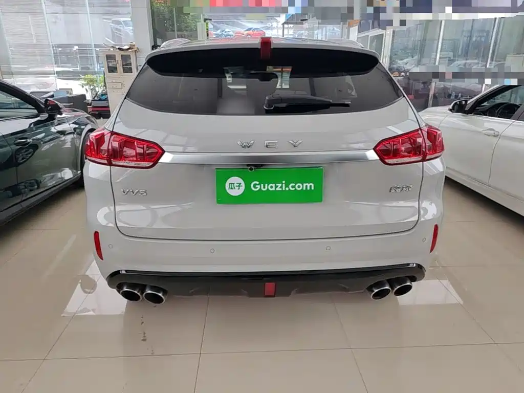 Wey VV5 2019 — фото 6