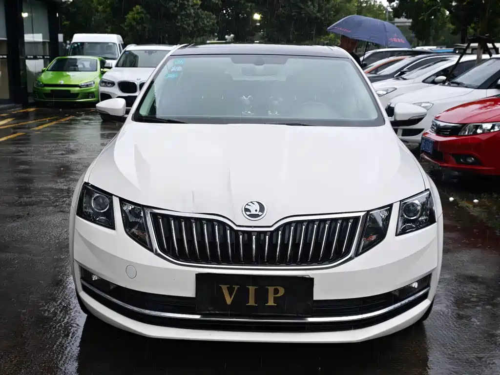 Skoda Octavia 2019 — фото 2