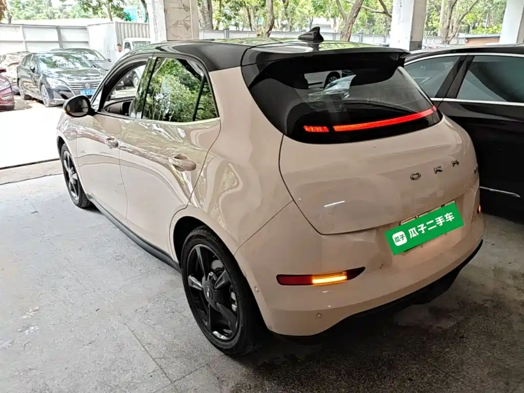 Ora Good Cat 2024