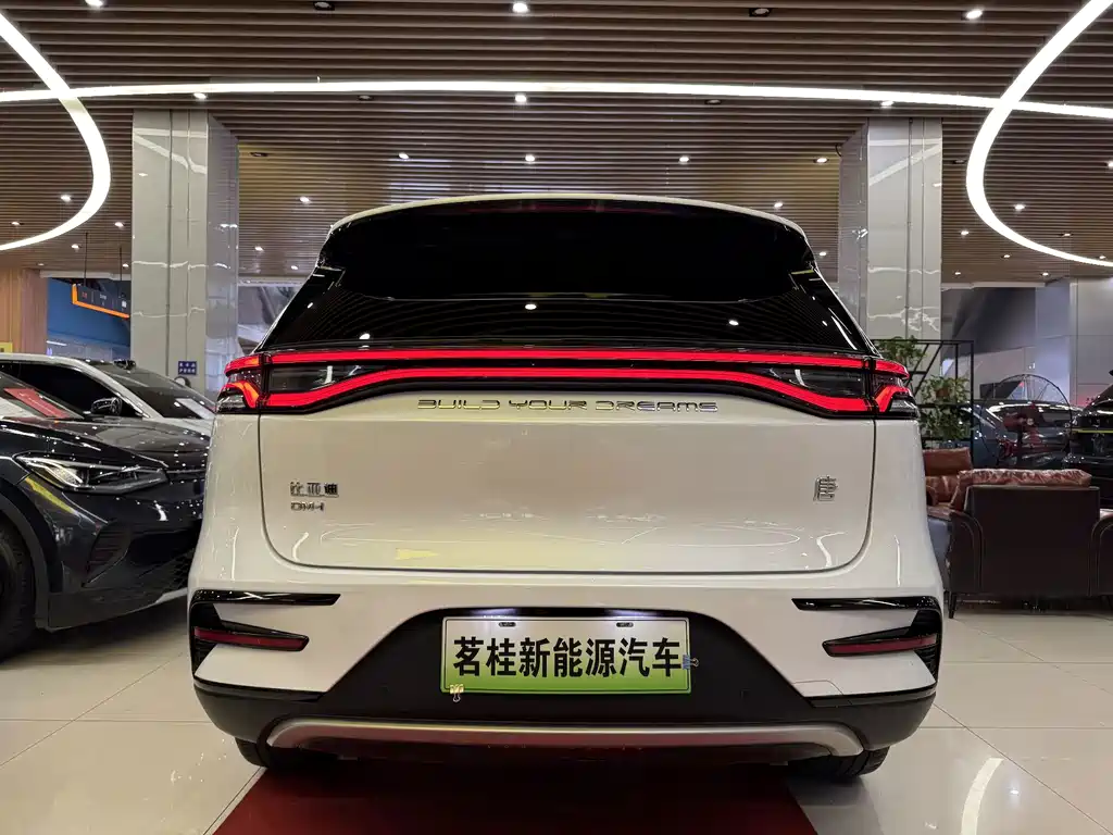 BYD Tang New Energy 2024 — фото 4