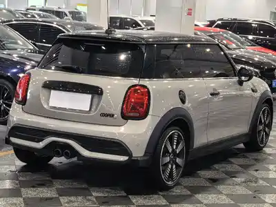 MINI MINI 2021