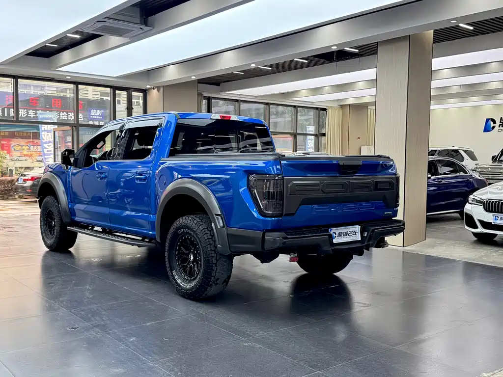 Ford F-150 Raptor 2020 — фото 11