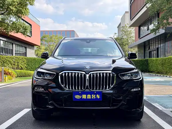 BMW X5 New Energy 2021