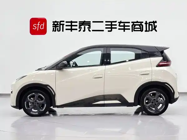 BYD Seagull 2024