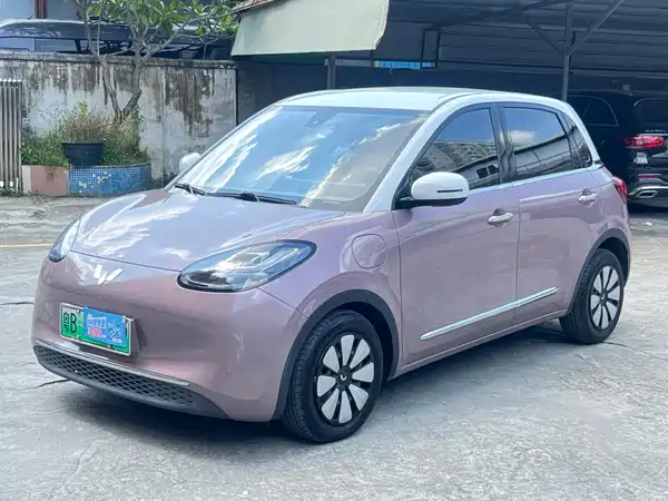 Wuling Bingo 2024