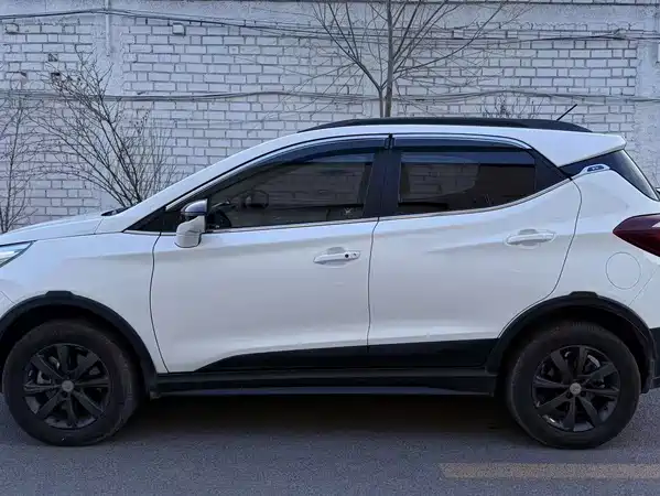 BYD Yuan New Energy 2019