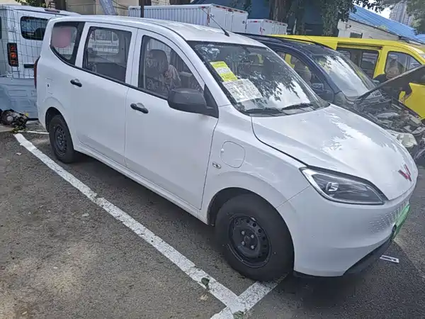 Wuling Hongguang New Energy 2026