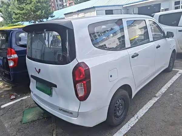 Wuling Hongguang New Energy 2026