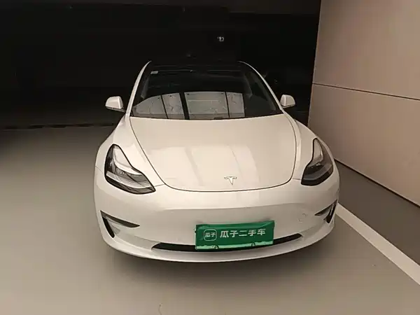 Tesla Model 3 2019