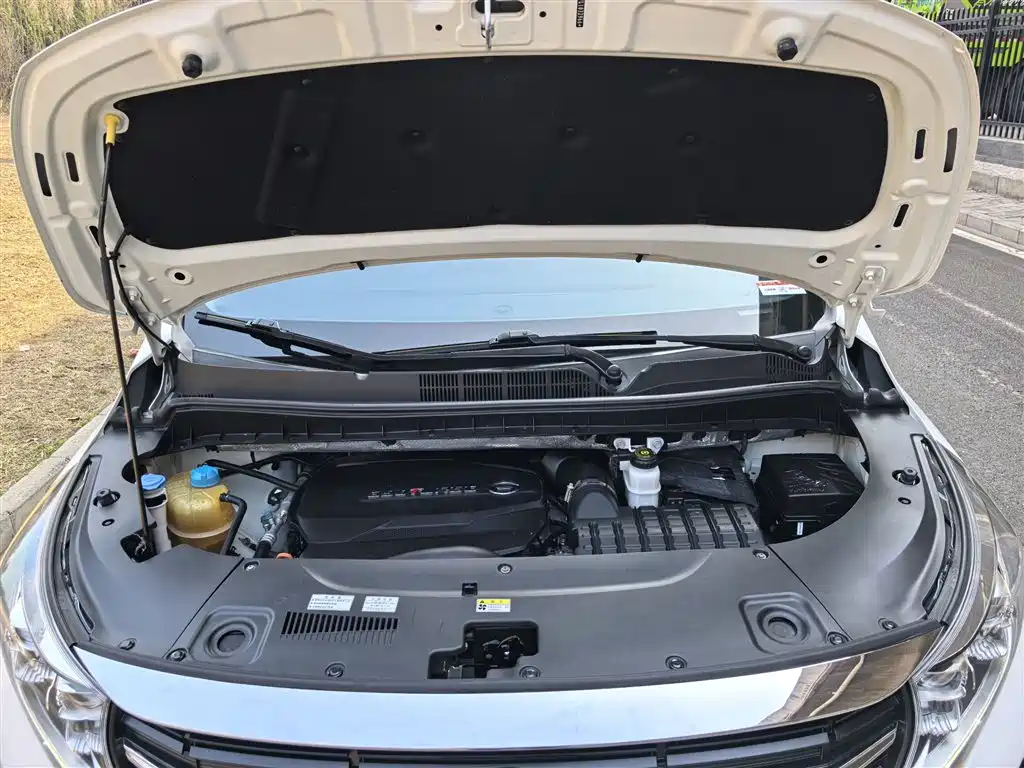 GAC Motor Trumpchi M8 2020 — фото 11