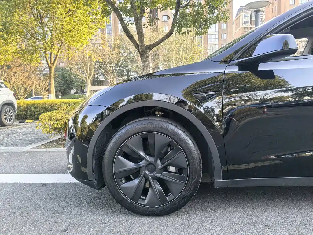 Tesla Model Y 2023 — фото 14