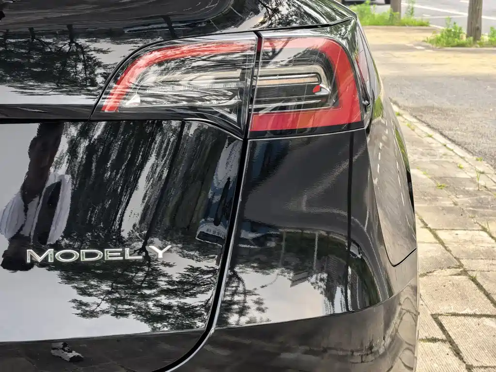 Tesla Model Y 2021 — фото 19