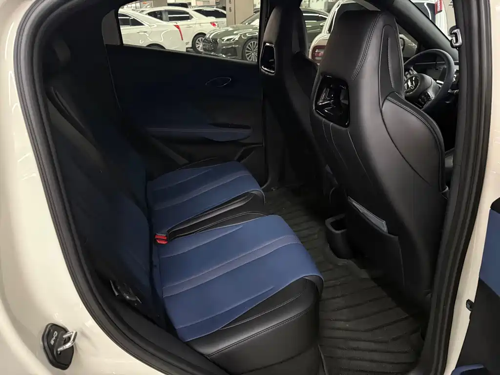 BYD Seagull 2024
