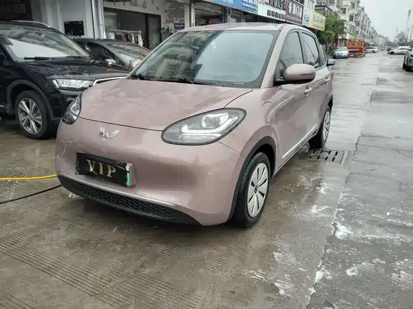 Wuling Bingo 2023