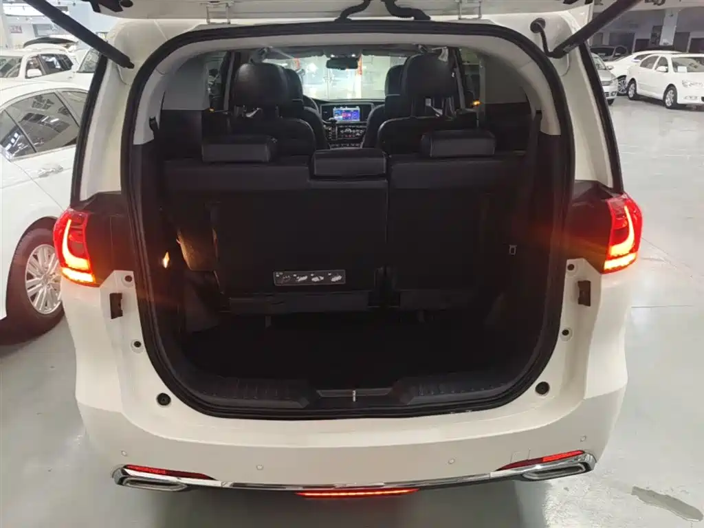 GAC Motor Trumpchi M8 2019 — фото 19