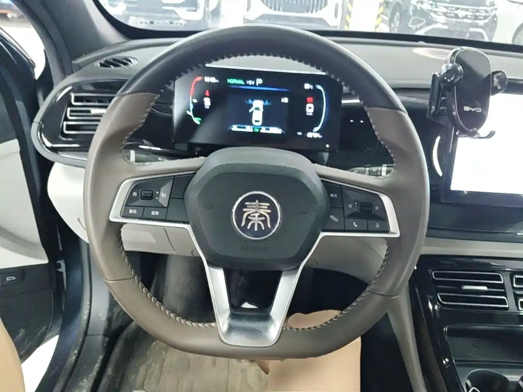 BYD Qin PLUS 2024 — фото 11